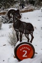 Bighorn 2 Parking Sign On The South Rim Of The Grand Canyon