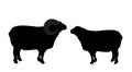 Bighorn ram and sheep couple vector silhouette illustration isolated on white. Lamb meat. Butcher shop template for craft food.