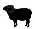 Bighorn ram vector silhouette illustration isolated on white background. Lamb meat.