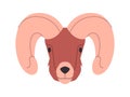 bighorn sheep brown color head mammal animal strong power and live in mountain environment