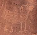 Bighorn Sheep Petroglyph