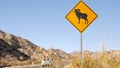 Bighorn sheep or ram crossing yellow road sign, California USA. Wild animal xing Royalty Free Stock Photo