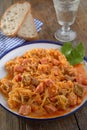 Bigos Royalty Free Stock Photo