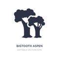 bigtooth aspen tree icon on white background. Simple element illustration from Nature concept