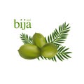 Bija Seed Natural Moisture Skin Care Cosmetic.