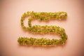Bijouterie necklace of green beads Royalty Free Stock Photo