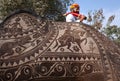 Bikaner Camel festival in Rajasthan, India