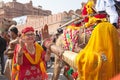 Bikaner Camel Festival in Rajasthan, India Royalty Free Stock Photo