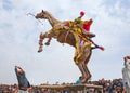 Bikaner Camel Festival in Rajasthan, India