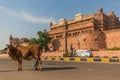 Between New Delhi and Pakistan, a desertic region famous of its castles, its colorful people, and the sophisticated stepwells