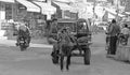 Indian man rides cart pulled by an horse on the street