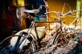 Bike abandoned remaining of rusty retro vintage bicycle half covered by earth. Photo color toned for nostalgic look effect