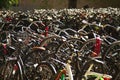 Bike Amsterdam