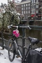 Bike with artificial flowers near the canal in Amsterdam in winter