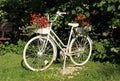 Bike as garden decoration Royalty Free Stock Photo