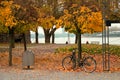 Bike in the autumn park, Cologne/ Koeln