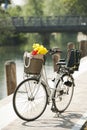 Bike with basket and flowers