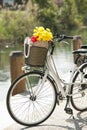 Bike with basket and flowers