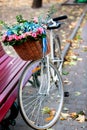 Bike with basket of flowers in Park Royalty Free Stock Photo