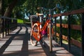 Bike on the bridge in the summer park Royalty Free Stock Photo