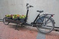 Bike cart full with flowers in Amsterdam the Netherlands Royalty Free Stock Photo