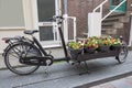 Bike cart full with flowers in the streets of Amsterdam the Netherlands Royalty Free Stock Photo