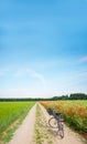 Bike on the field lane between poppy and grain fields, blue sky with lots of copy space