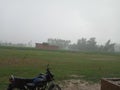 Bike ,field plants rain Royalty Free Stock Photo