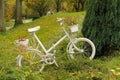 Bike with flowerpots Royalty Free Stock Photo