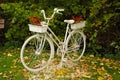 Bike with flowerpots Royalty Free Stock Photo