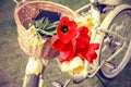 Bike with flowers in a basket Royalty Free Stock Photo