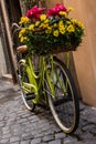 Bike with flowers Royalty Free Stock Photo