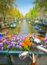 Bike and flowers on a Bridge in Amsterdam Royalty Free Stock Photo