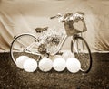 Bike with flowers, concept sepia