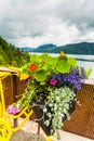 Bike with flowers and fjord Norway