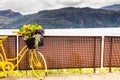 Bike with flowers and fjord Norway