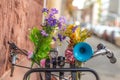 Bike with flowers and horn . detail bicycle