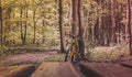 Bike on a forest trail Royalty Free Stock Photo