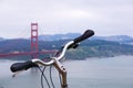 Bike in front of Golden Gate bridge, San Francisco.