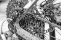 Bike gears with chain (selective focus). Black and white close u Royalty Free Stock Photo