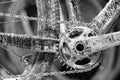 Bike gears with chain (selective focus). Messy black and white c Royalty Free Stock Photo