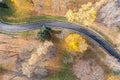 Bike lane among colorful yellow trees and fallen leaves on the ground. autumn park landscape. drone photo Royalty Free Stock Photo