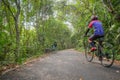 Bike lane for cyclists cycling along trees in the forest.