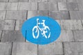 Bike lane sign on the asphalt in the city. Sustainable urban mobility.