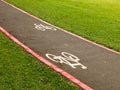 Bike Lane signs on streets ground in Brazil Royalty Free Stock Photo