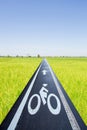 Bike lane throuth rice field Royalty Free Stock Photo