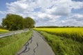 Bike lane with trees and a blossoming, yellow colza field Royalty Free Stock Photo