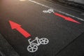 bike lane two ways sign direction arrow symbol paint on asphalt road in japan city metro Royalty Free Stock Photo