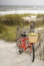 Bike leaning against fence Royalty Free Stock Photo