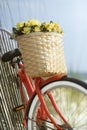 Bike leaning against fence Royalty Free Stock Photo